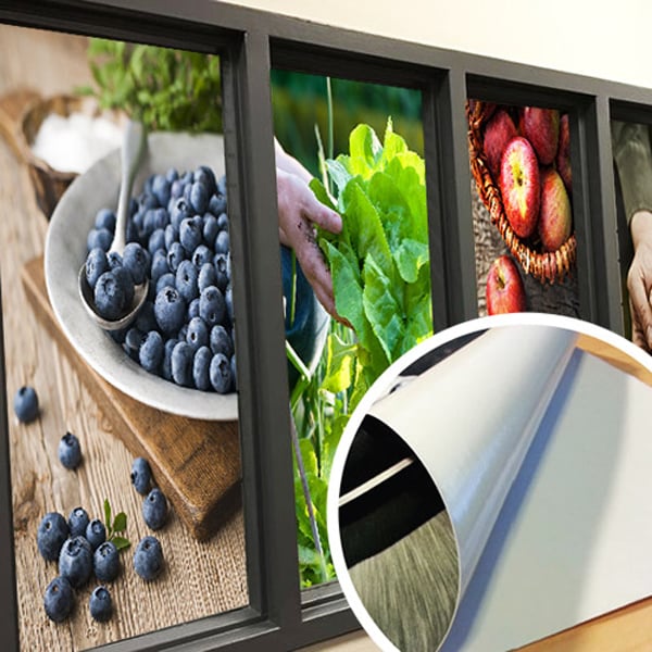 Adhesive Vinyl (Wall Graphics)