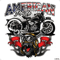 A-0221 DL