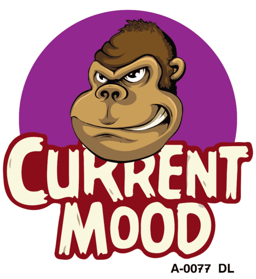 "current mood t-shirt design - express your vibes - product image"