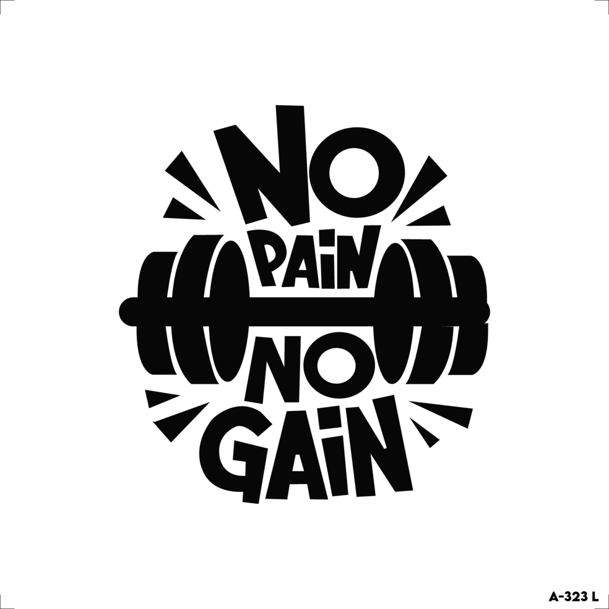 no pain no gain