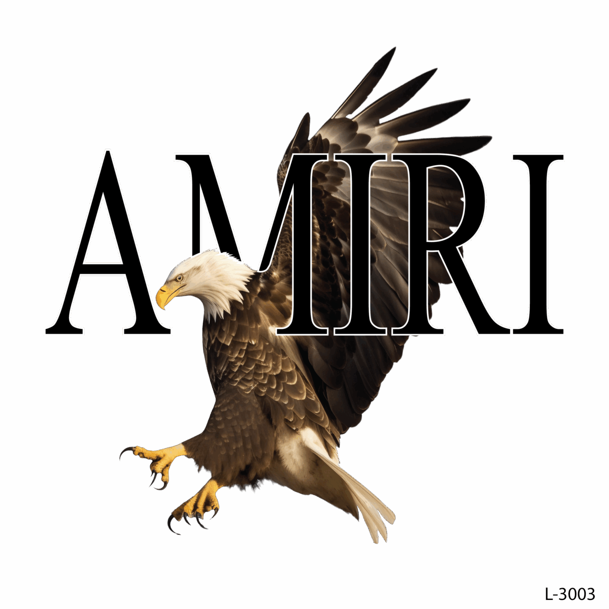 T-Shirt Printing 17 amiri .