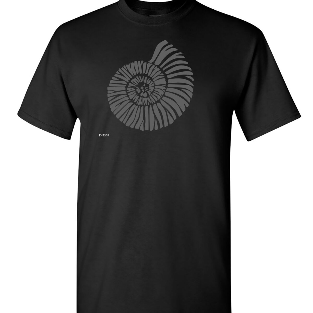 Alternative view of Ammonite Fossil.