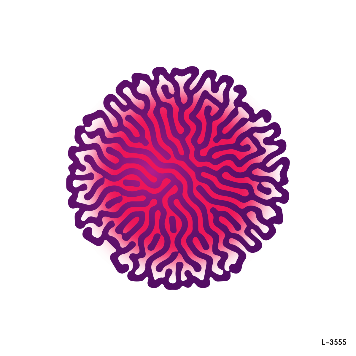 Morphogenesis.
