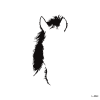 illustration of a Horse .