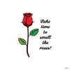 Take time to smell the roses!