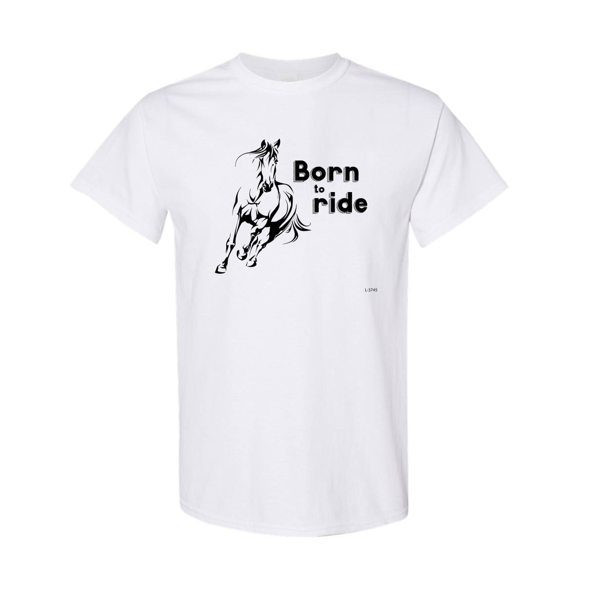 Alternative view of Born To Ride !